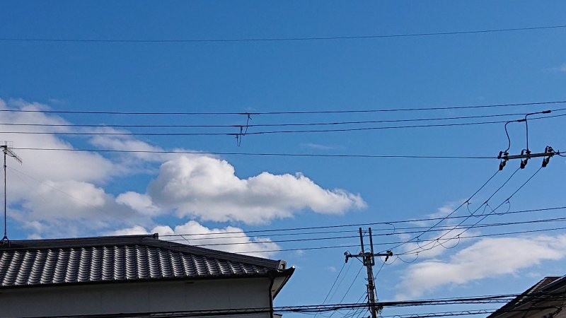 f:id:makkosan70:20220131144228j:plain