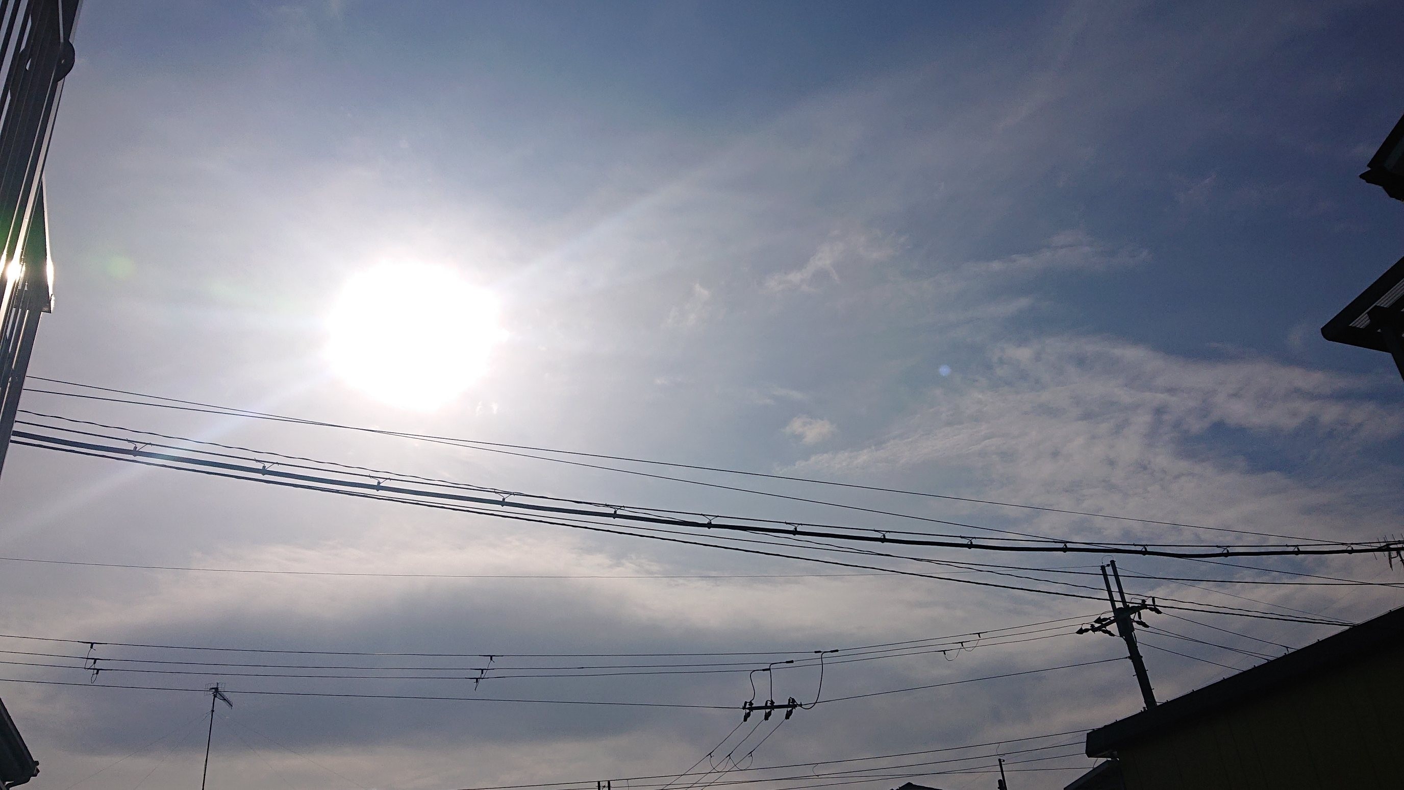 f:id:makkosan70:20220203110453j:plain