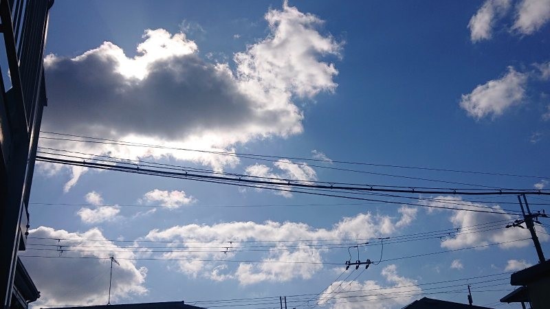 f:id:makkosan70:20220205130858j:plain