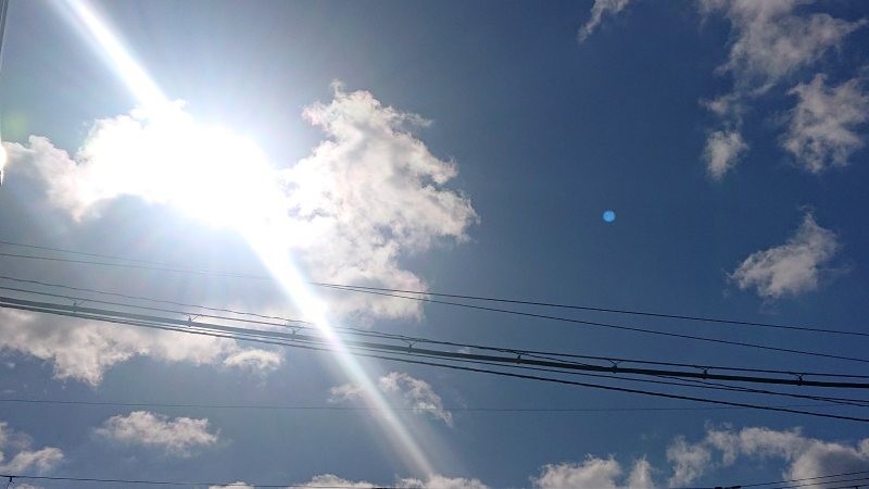f:id:makkosan70:20220205130909j:plain