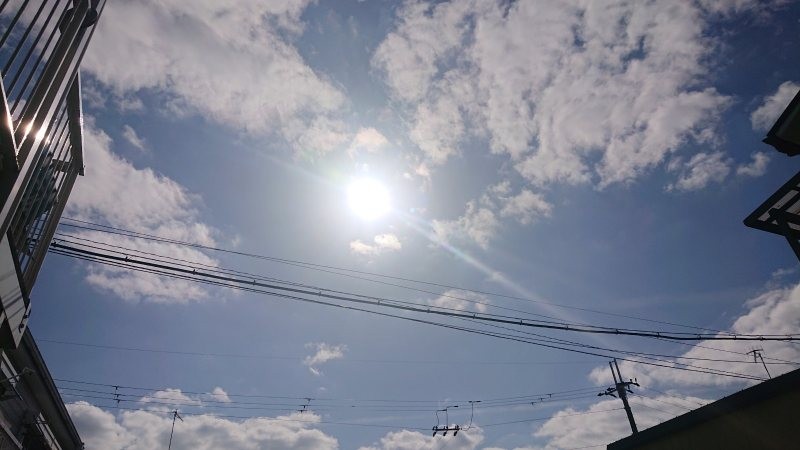 f:id:makkosan70:20220209135223j:plain