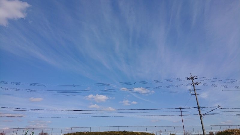 f:id:makkosan70:20220209135303j:plain