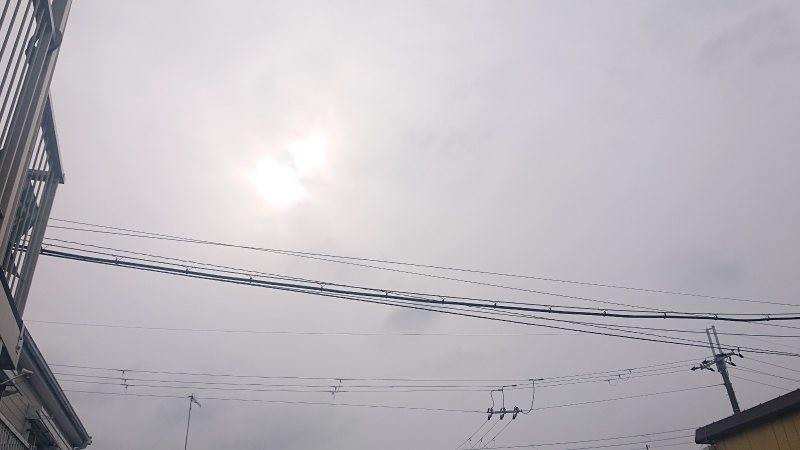 f:id:makkosan70:20220210132541j:plain