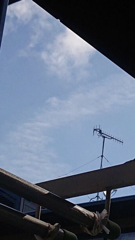 f:id:makkosan70:20220218131020j:plain