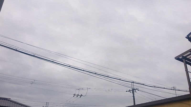 f:id:makkosan70:20220219141153j:plain