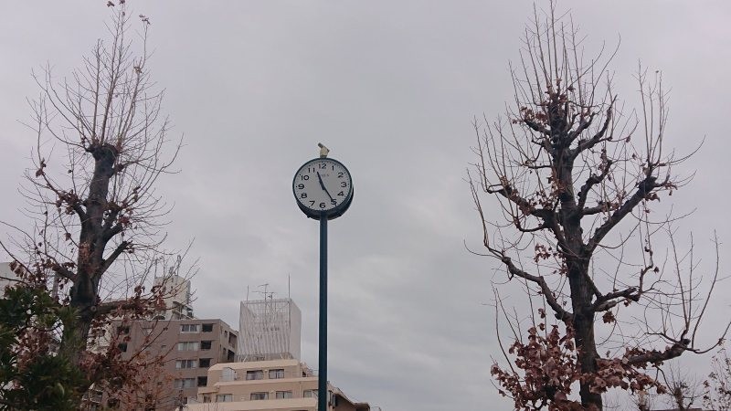 f:id:makkosan70:20220219141205j:plain