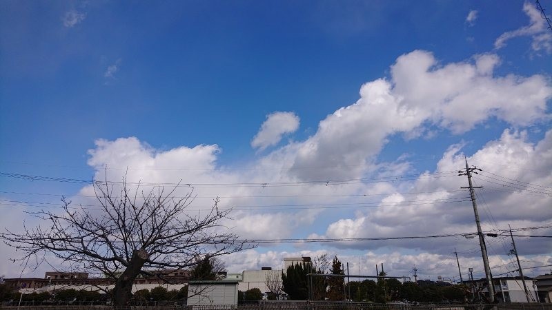 f:id:makkosan70:20220221135331j:plain