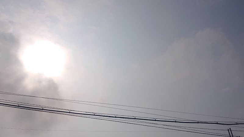 f:id:makkosan70:20220302133924j:plain
