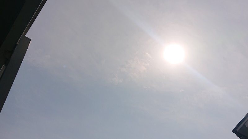 f:id:makkosan70:20220302134122j:plain