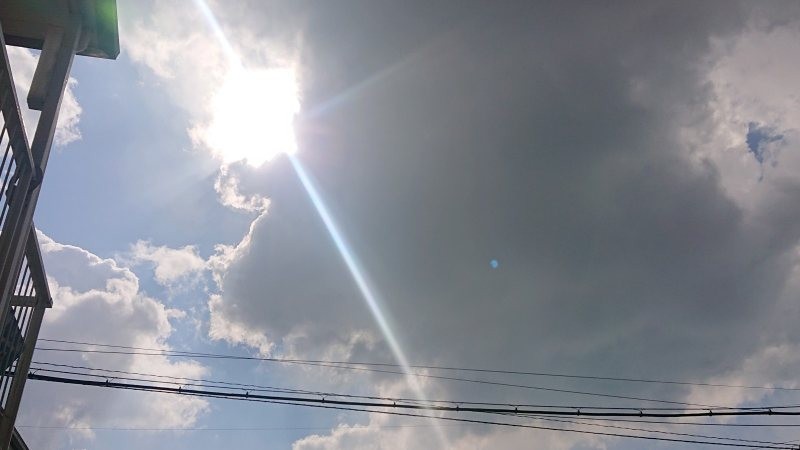 f:id:makkosan70:20220306110702j:plain