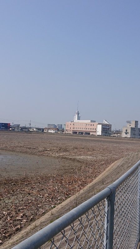 f:id:makkosan70:20220312130930j:plain