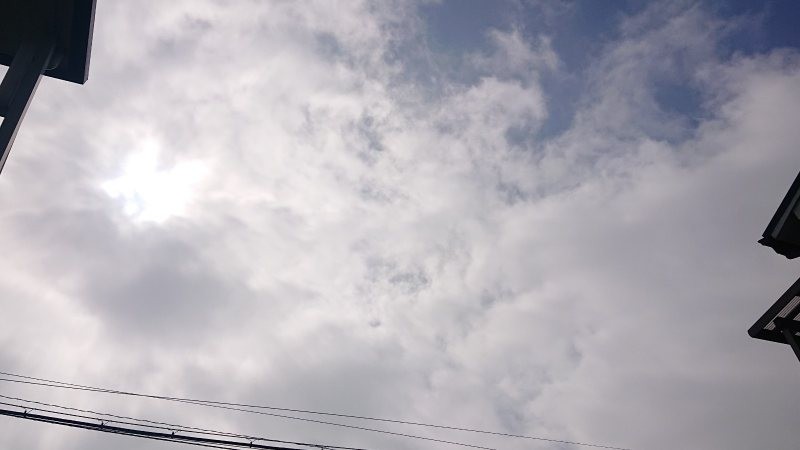 f:id:makkosan70:20220314133926j:plain