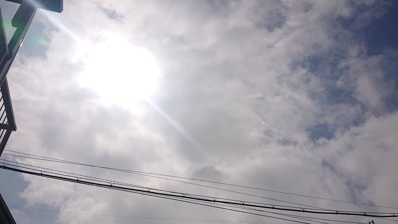 f:id:makkosan70:20220314133938j:plain