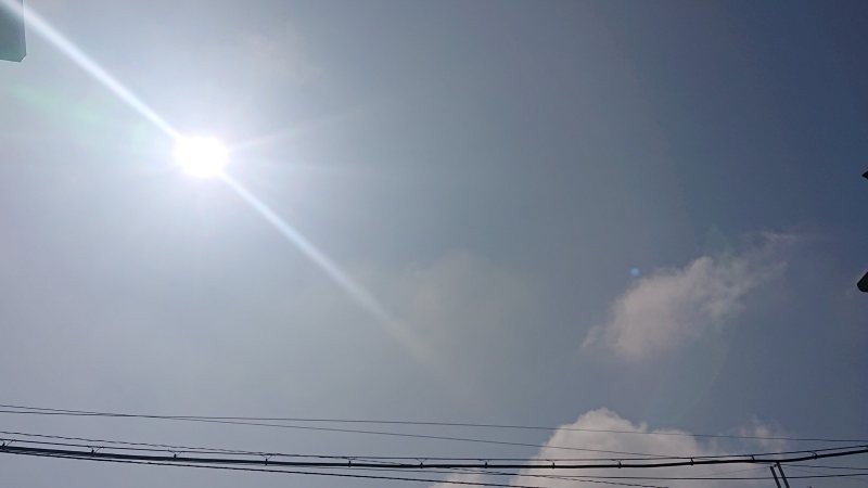 f:id:makkosan70:20220314133956j:plain