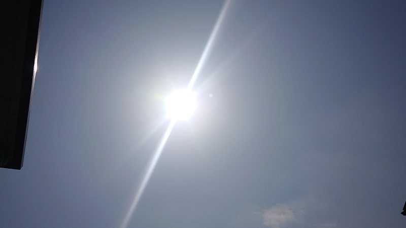 f:id:makkosan70:20220324135528j:plain