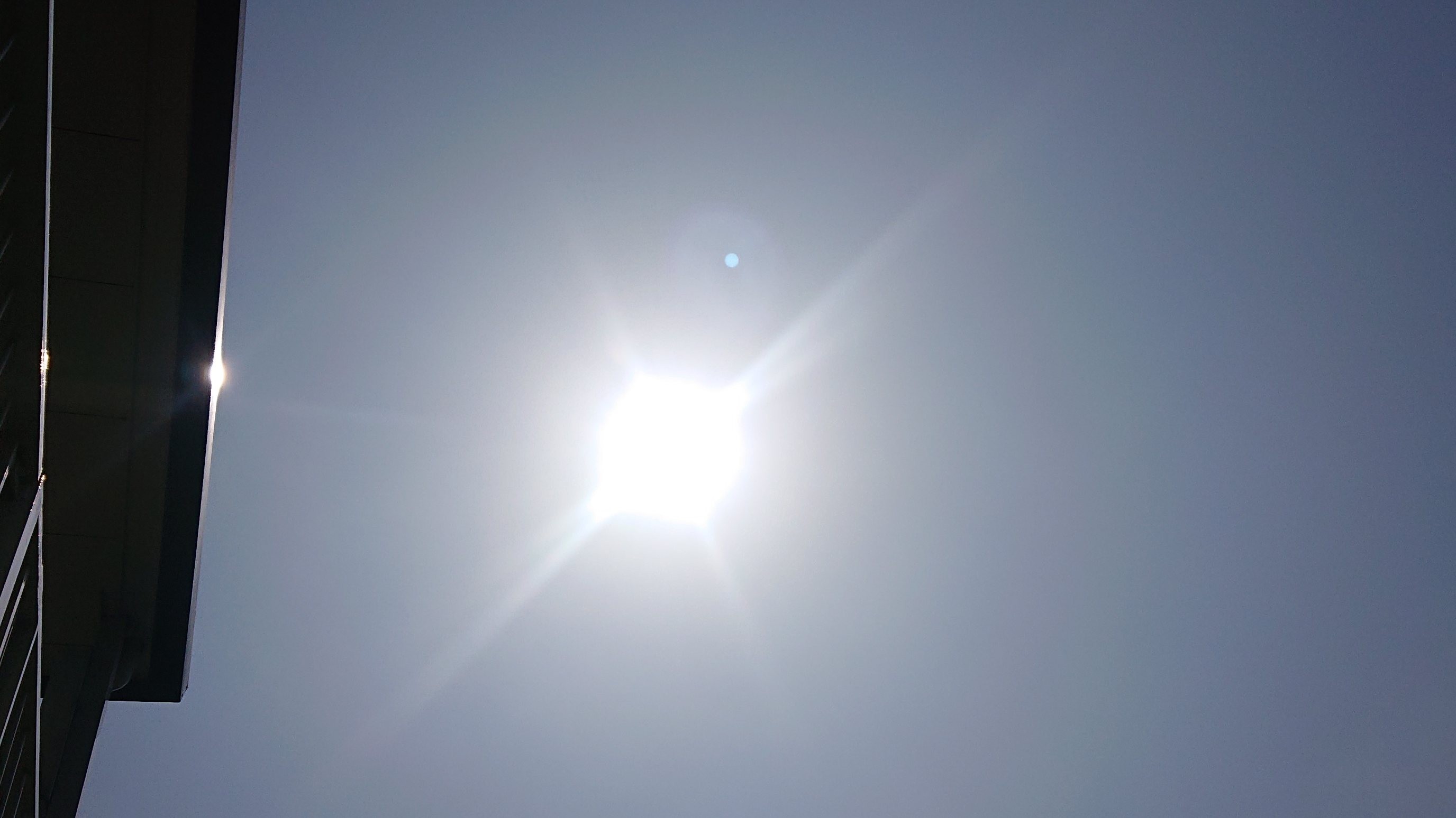 f:id:makkosan70:20220324143403j:plain