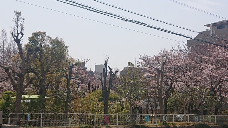 f:id:makkosan70:20220330132105j:plain