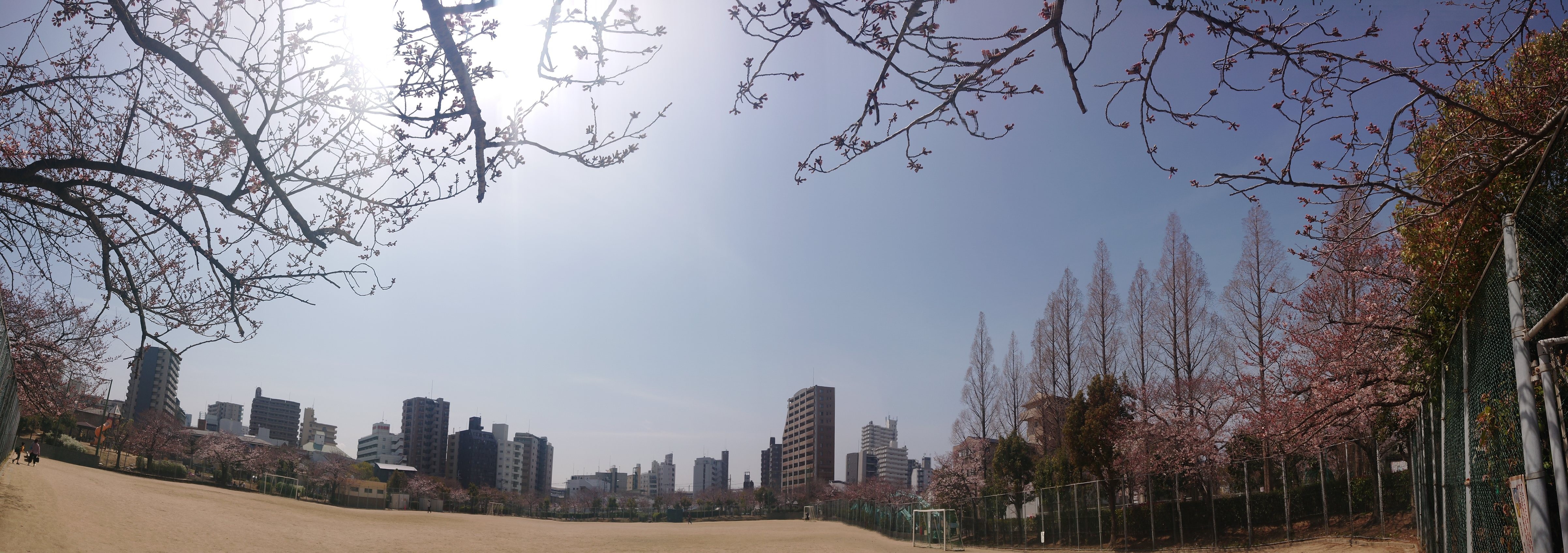 f:id:makkosan70:20220330132326j:plain