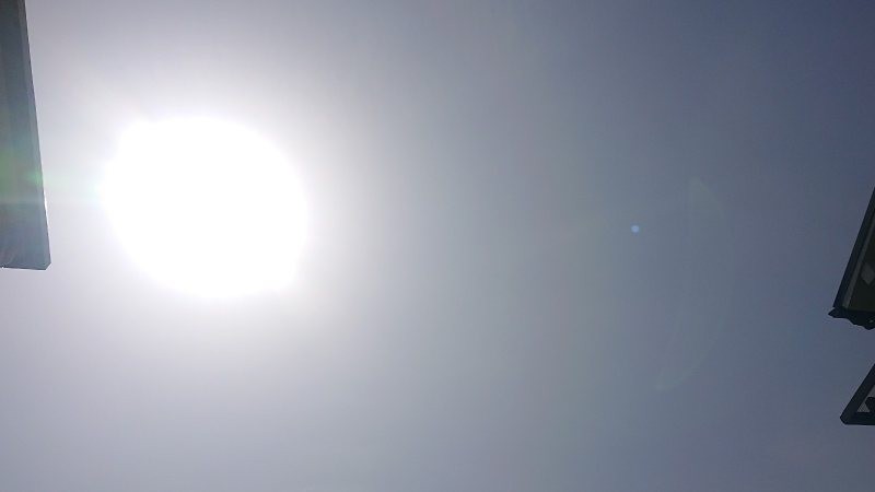 f:id:makkosan70:20220330134639j:plain