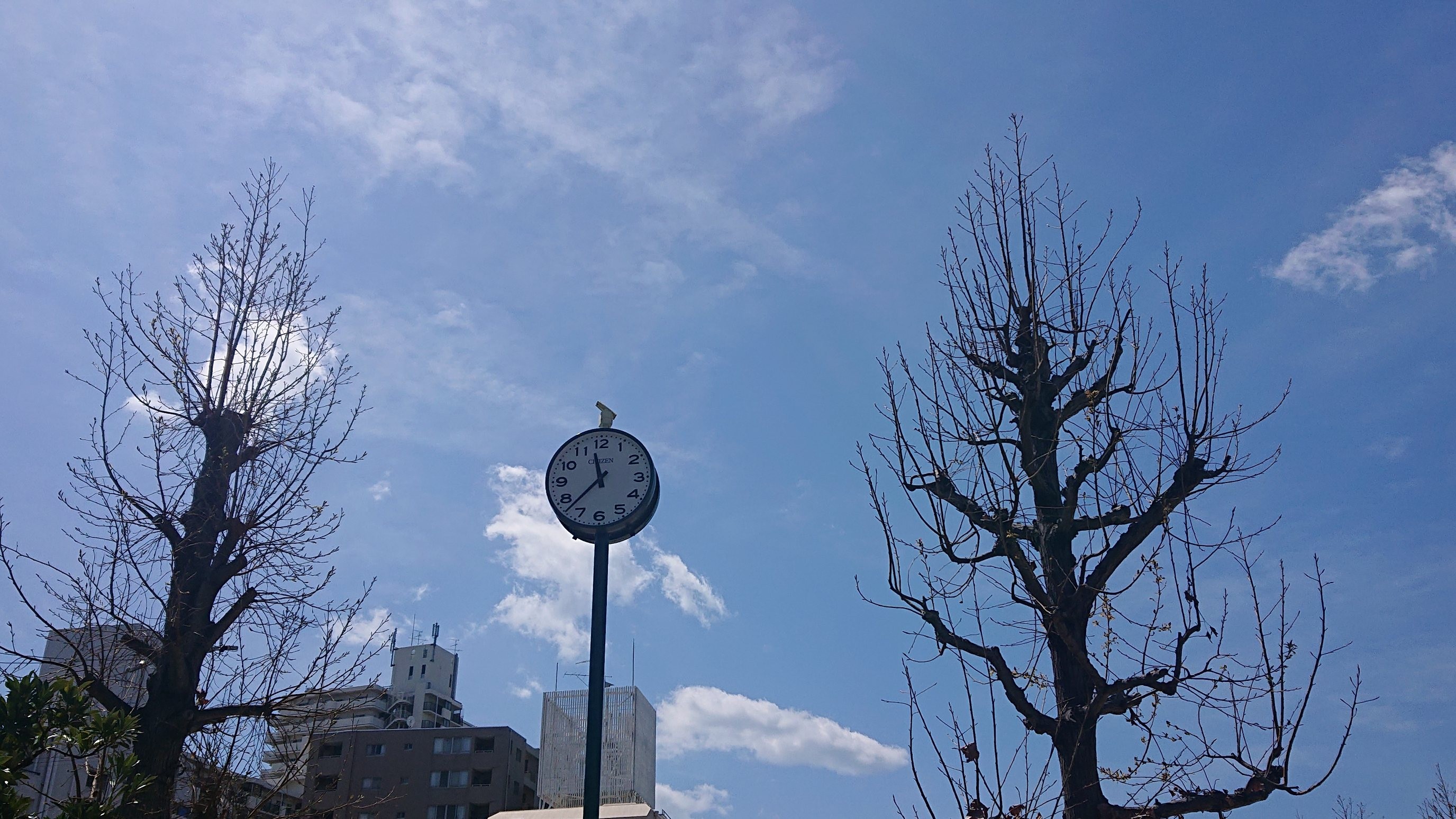 f:id:makkosan70:20220401135002j:plain