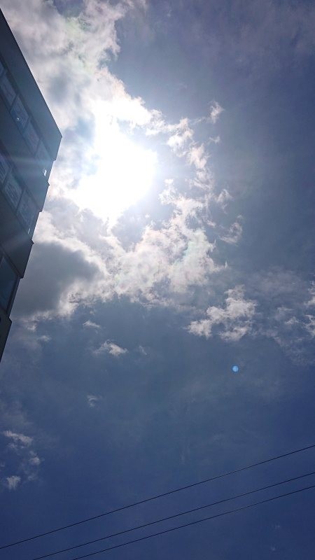 f:id:makkosan70:20220401140447j:plain