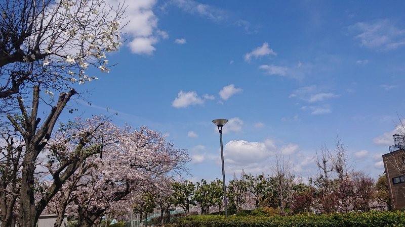 f:id:makkosan70:20220401140458j:plain