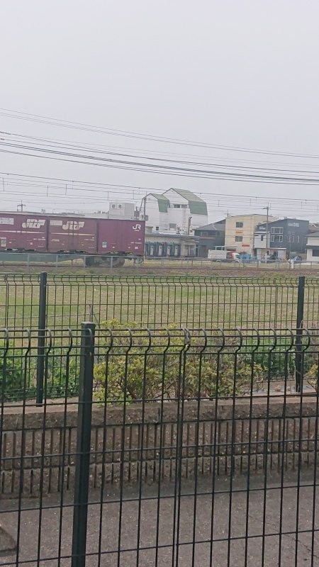 f:id:makkosan70:20220402143245j:plain