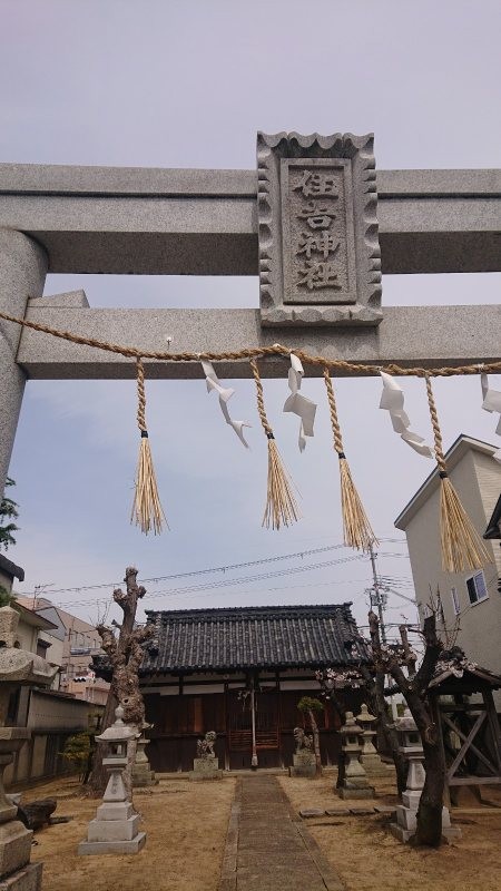 f:id:makkosan70:20220402143316j:plain