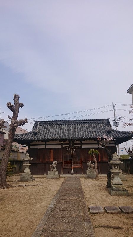 f:id:makkosan70:20220402143326j:plain