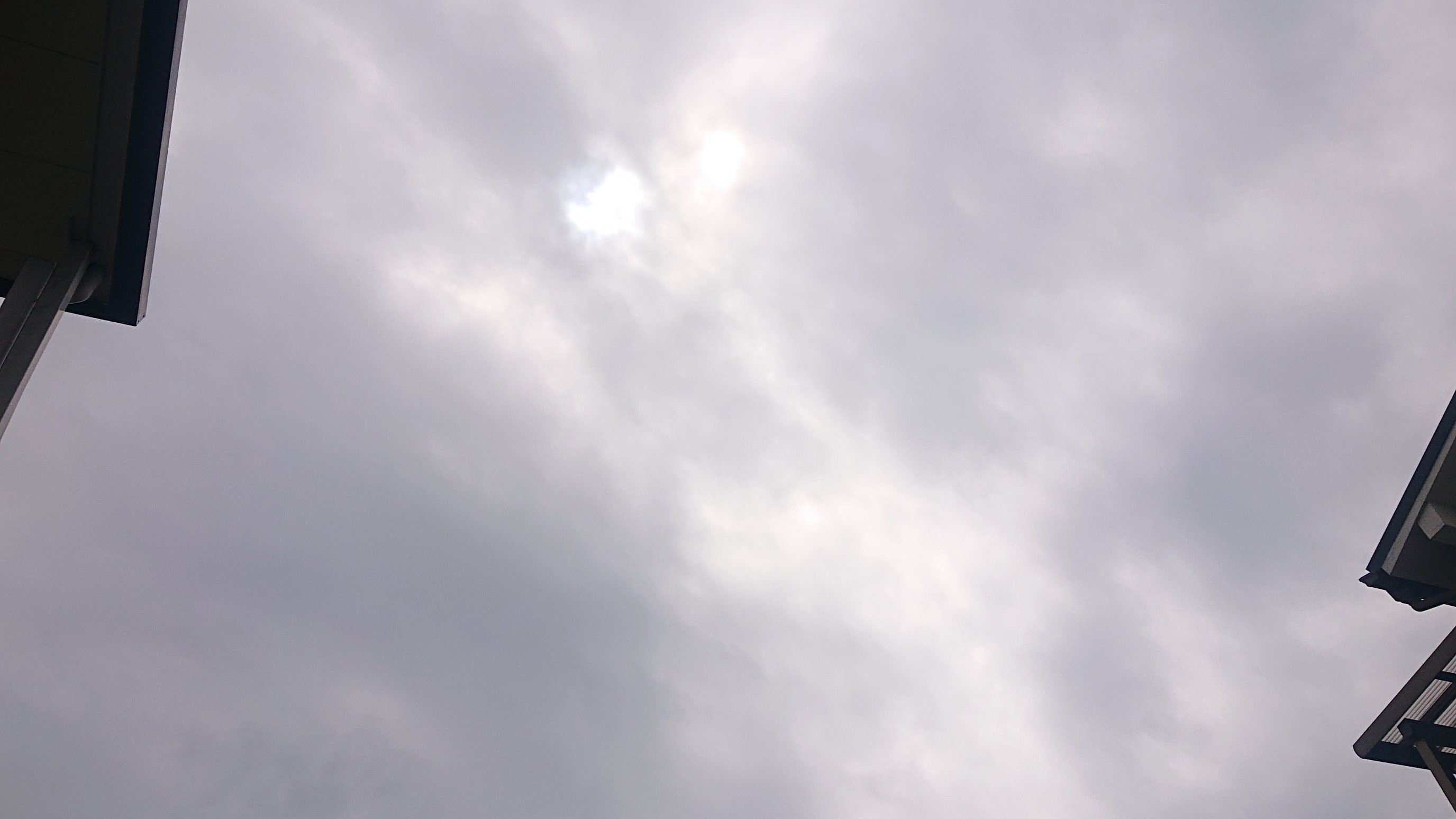 f:id:makkosan70:20220403145706j:plain