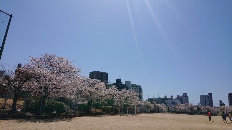 f:id:makkosan70:20220405135122j:plain