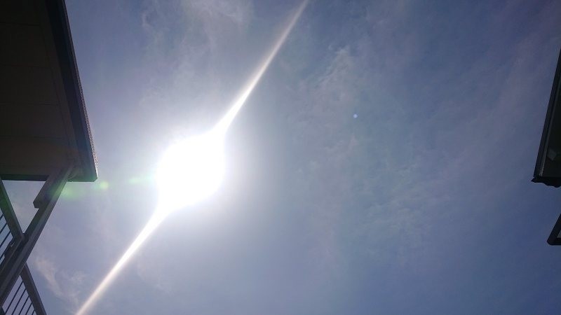 f:id:makkosan70:20220406123955j:plain