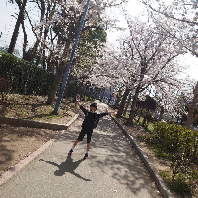 f:id:makkosan70:20220406151809j:plain