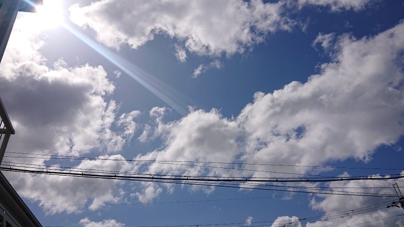 f:id:makkosan70:20220416135012j:plain
