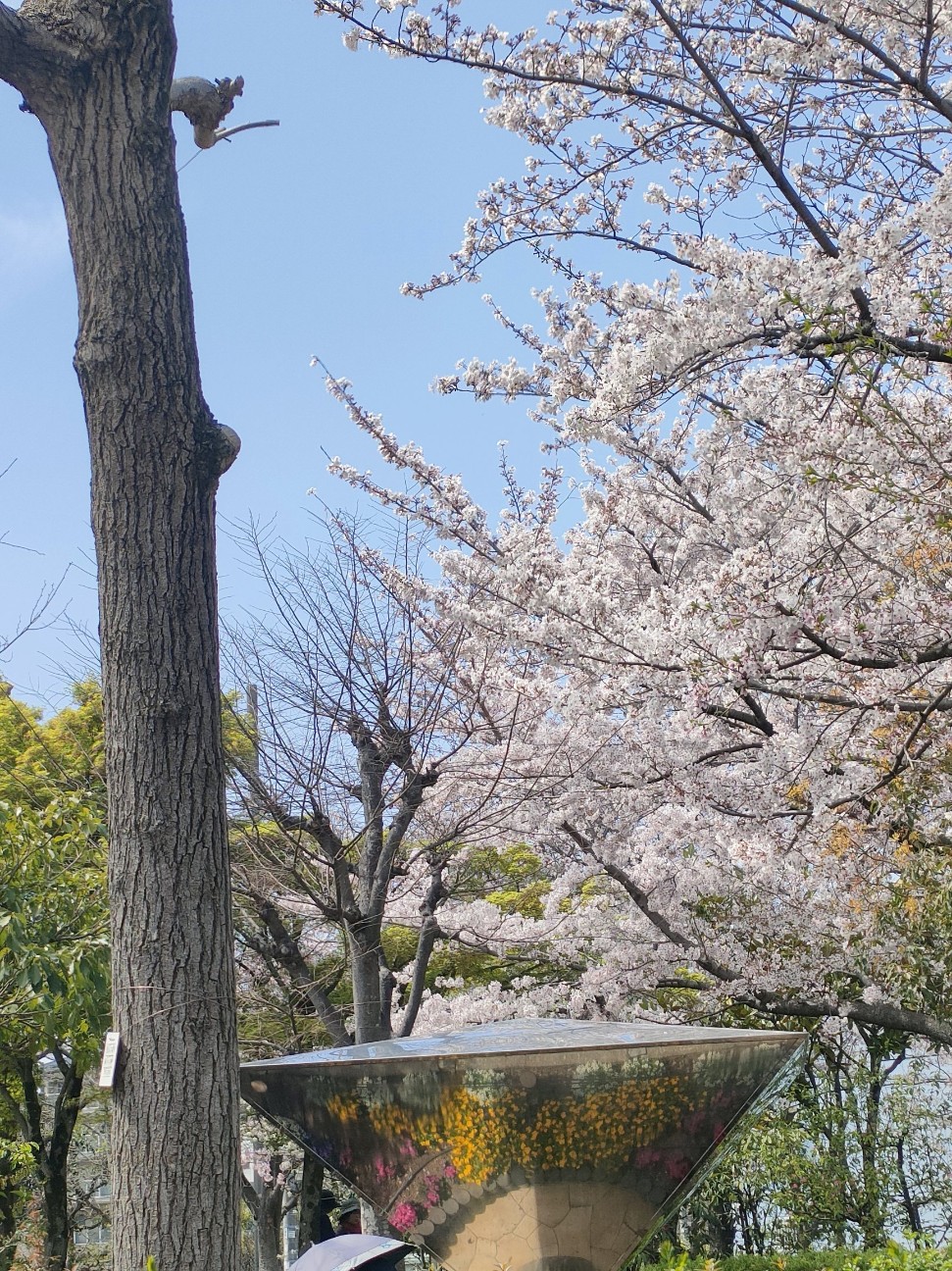 f:id:makkosan70:20260406175820j:image