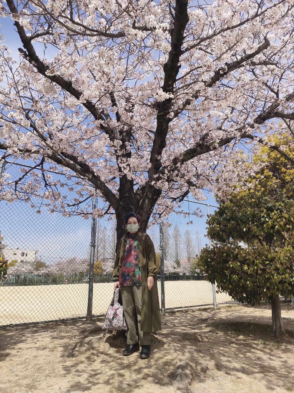 f:id:makkosan70:20260406175824j:image