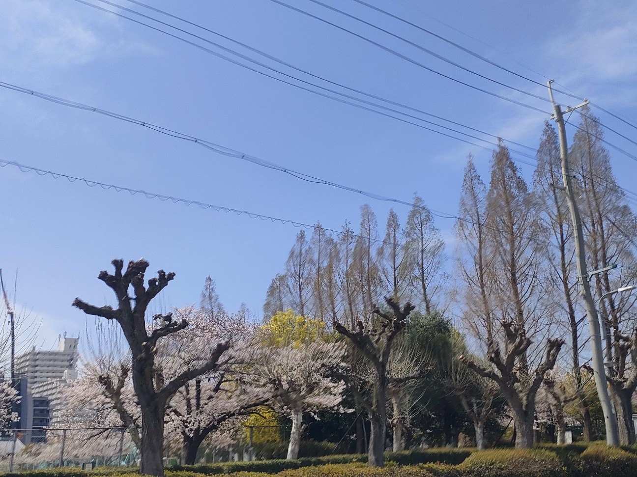 f:id:makkosan70:20260406175839j:image