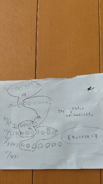 f:id:makkumakku:20201218102504j:image f:id:makkumakku:20201218102504j:image
