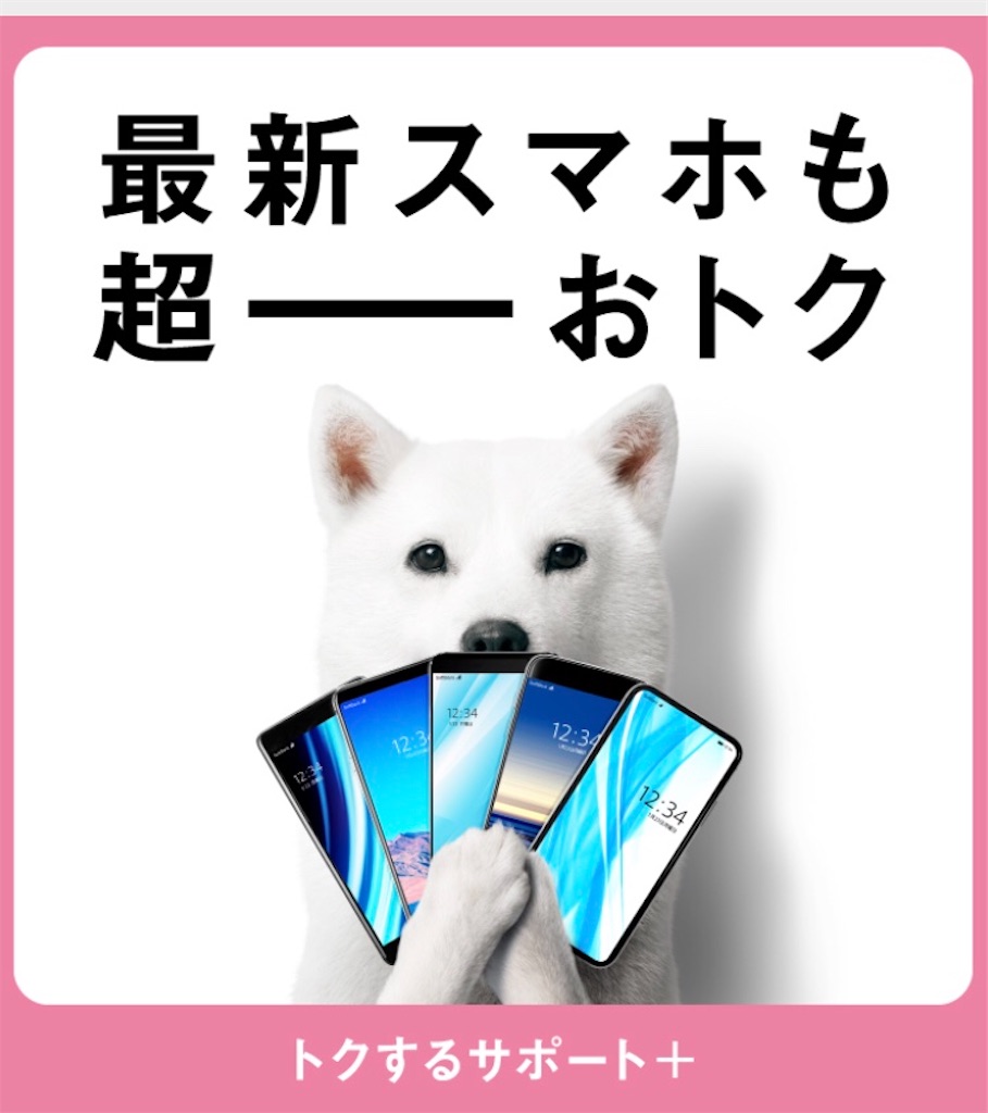 f:id:makky6111:20200415231331j:image f:id:makky6111:20200415231331j:image