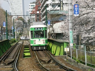 都電7500とサクラ(学習院下)1