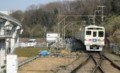 京王6000系　多摩動物公園ラッピング車(多摩動物公園)