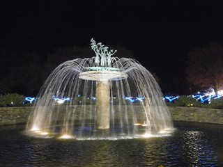 昭和記念公園イルミネーション