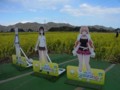 [ラグりん聖地探訪]菜な畑ロード