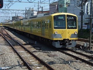 西武101N系295F+303F[準急|本川越]