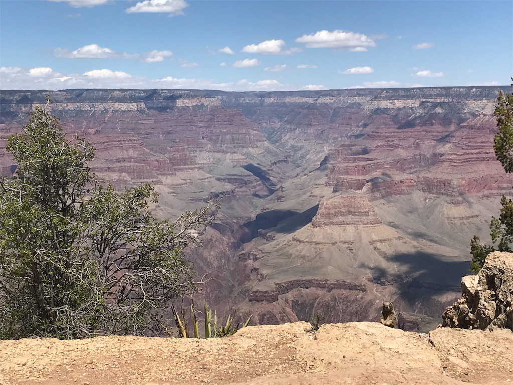 f:id:mako-miko:20190426145013j:image f:id:mako-miko:20190426145013j:image