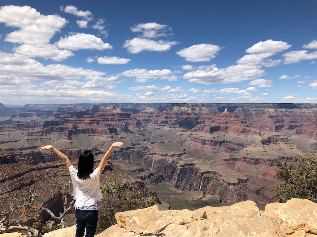 f:id:mako-miko:20190426145250j:image f:id:mako-miko:20190426145250j:image