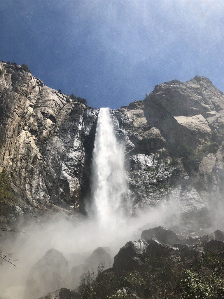 f:id:mako-miko:20190711185722j:image f:id:mako-miko:20190711185722j:image