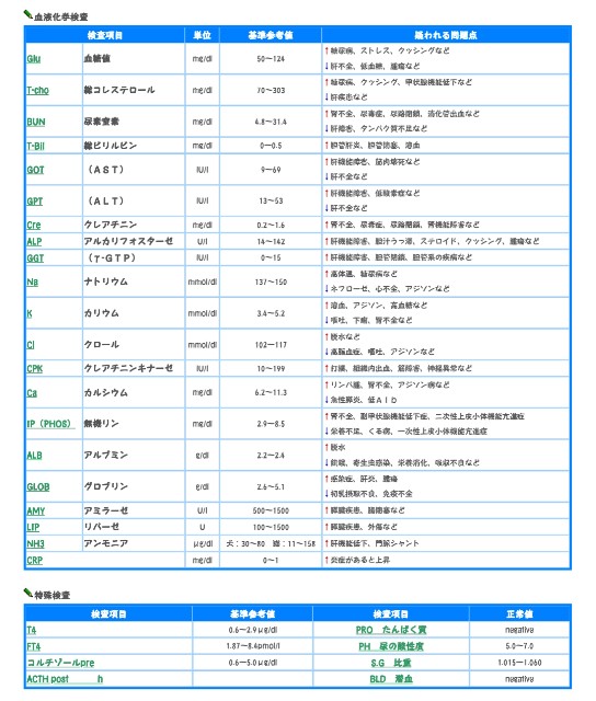 f:id:mako-s-kurowassan0411:20181227201841j:plain