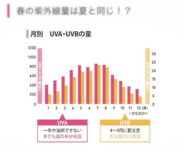 f:id:mako-s-kurowassan0411:20190415151142j:plain