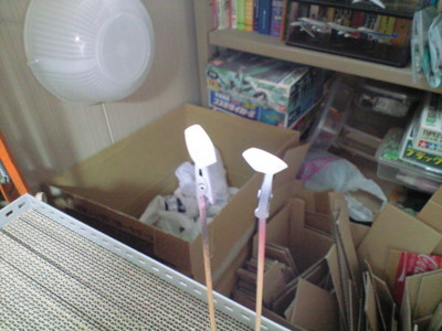 f:id:mako0079:20140624173010j:image:w360 f:id:mako0079:20140624173010j:image:w360